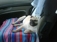 /album/armesa/img00294-1-jpg/