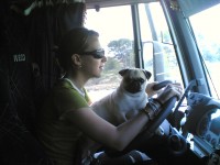 /album/armesa/a23052007-001-jpg/