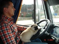 /album/armesa/dsc03094-jpg/